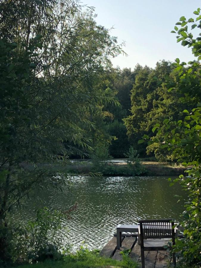 La Francoisiere Bed & Breakfast Loigne-sur-Mayenne Bagian luar foto