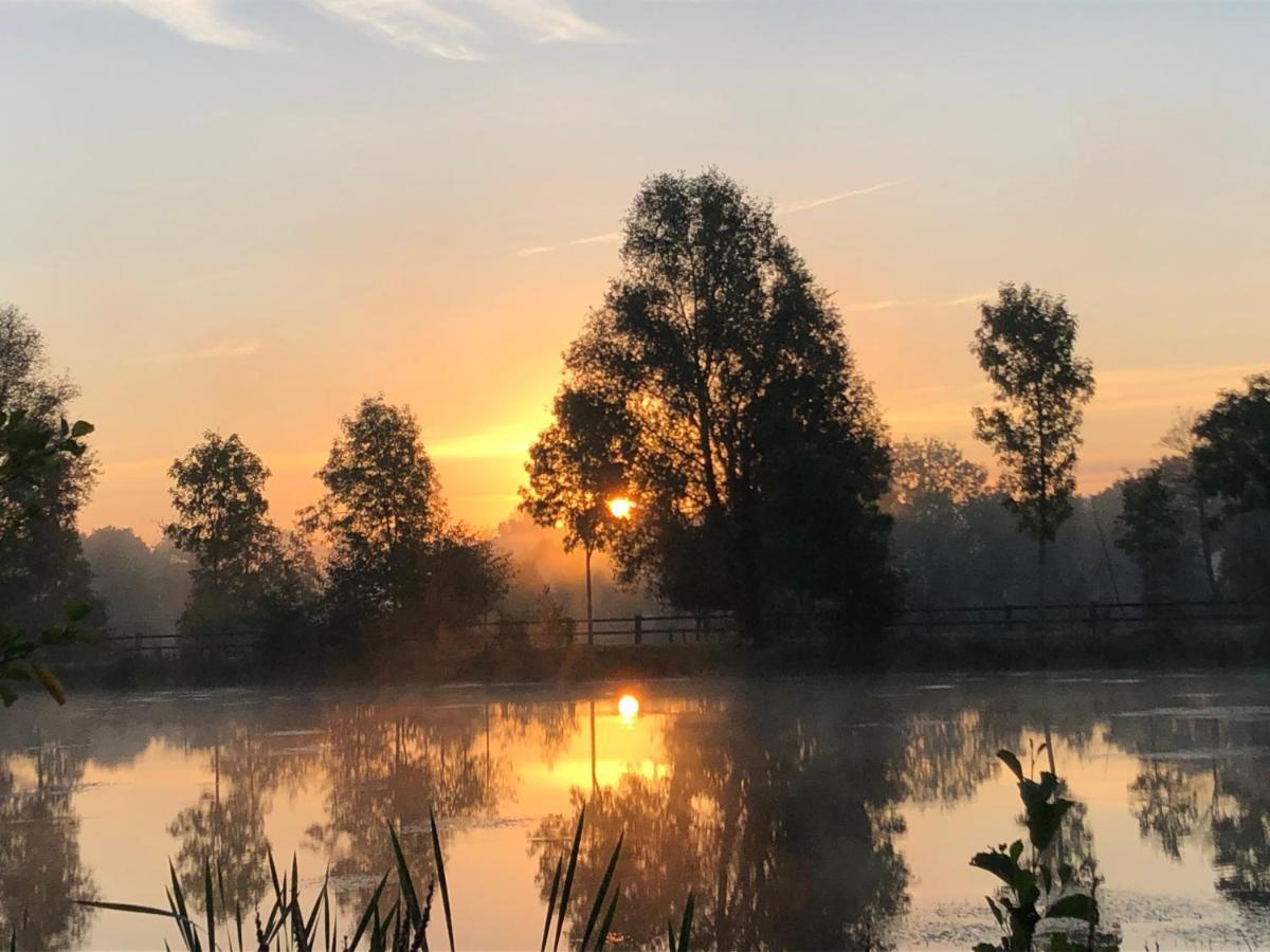 La Francoisiere Bed & Breakfast Loigne-sur-Mayenne Bagian luar foto