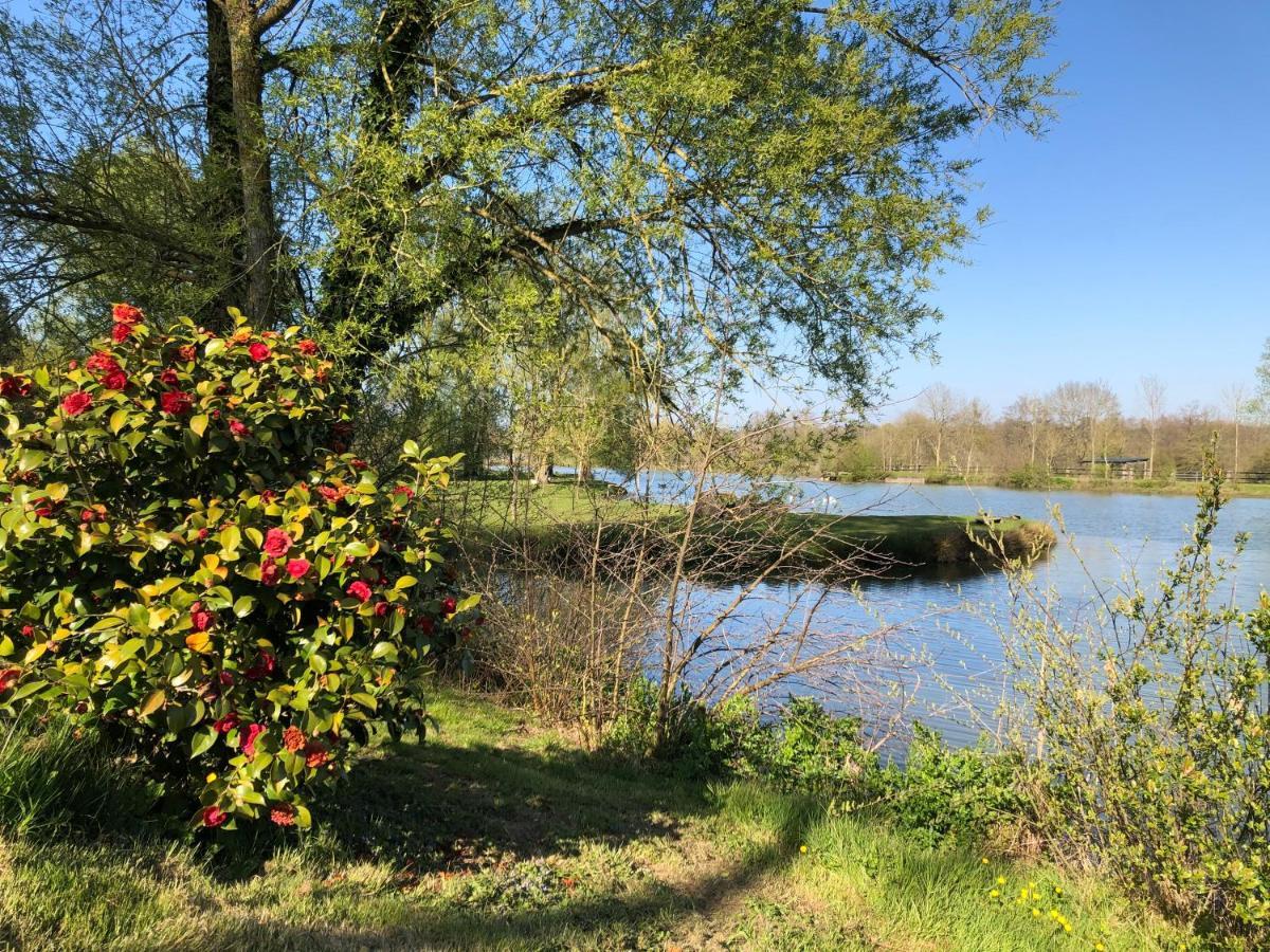 La Francoisiere Bed & Breakfast Loigne-sur-Mayenne Bagian luar foto