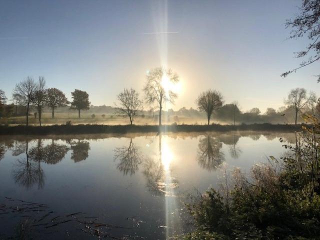 La Francoisiere Bed & Breakfast Loigne-sur-Mayenne Bagian luar foto