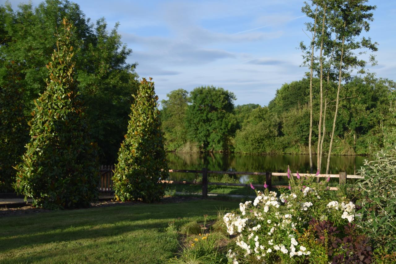 La Francoisiere Bed & Breakfast Loigne-sur-Mayenne Bagian luar foto